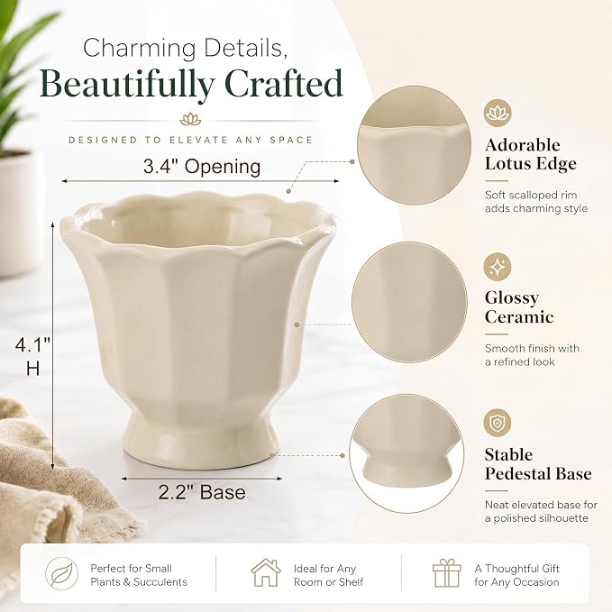 6 Pcs Lotus Leaf Edge Flower Planter Beige 3.4 Inch Small Scalloped Ceramic Pots for Mini Plant Succulent Cactus Flower Tillandsia Air Fern Home Office Desktop Decor