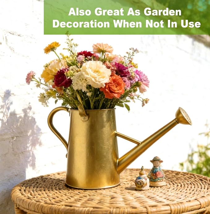 Watering Can for Outdoor&Indoor Plants，1.5 Gallon（5.7L） Metal Watering Can with with Removable Spout，Large Galvanized Steel Garden Flower Water Can Watering Pot with 2 Handles，Gold