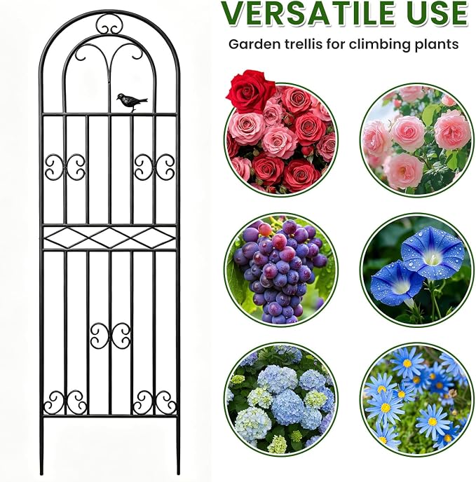 2 Pack 70.8"x19.7" Metal Gardon Trellis for Climbing Plants Flowers Outdoor, Rustproof, Heavy Duty, Black Coating Plant Support for Rose, Vines, Flowers, Perfect for Training Climbing Plants, Black