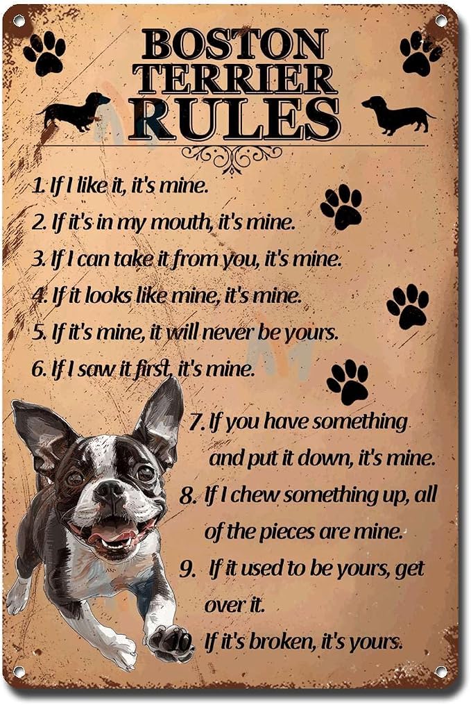 Metal Sign Tin Sign Vintage Wall Art Boston Terrier Rules Sign for Garden for Home Decor 6×8 Inches
