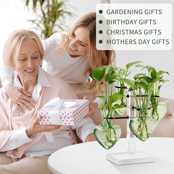 Plants Propagation Stations Plant Terrarium Kit Gift for Women | Birthday Glass Planters For Indoor Plants Home Office Decor Acrylic Plant Accessories - 4 Love Hear Vase