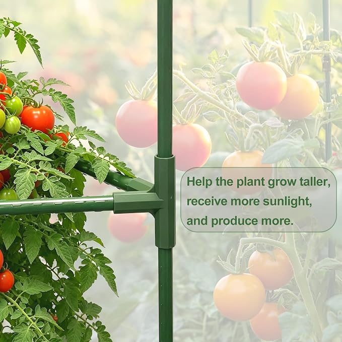 Tomato Cages for Garden&Pots, 2 Pack 50" Plant Support Trellis for Tomatoes, Cucumbers, Beans | Heavy-Duty Steel with Rust-Proof Coating | Garden Stakes for Outdoor Indoor Plants