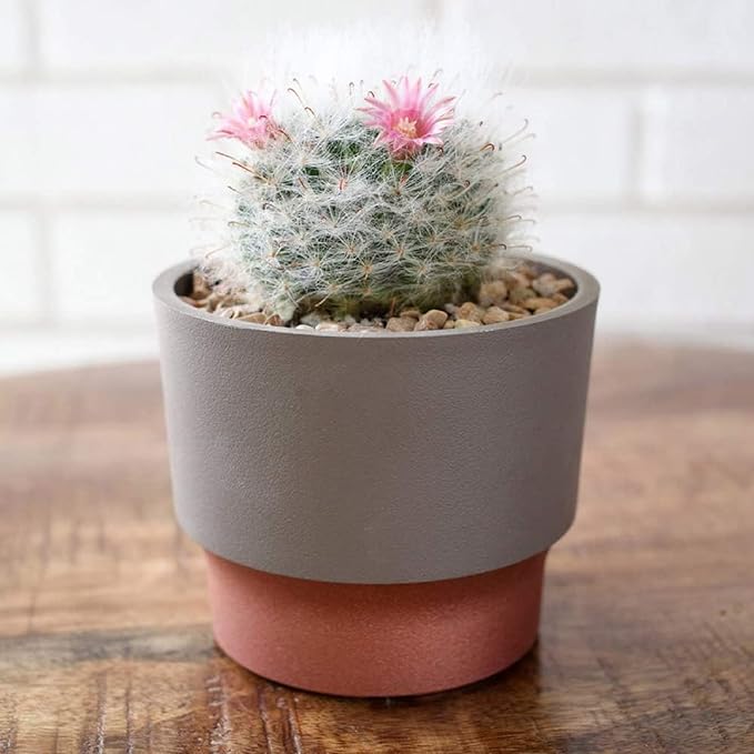The HC Companies 5 Inch Sprite Succulent Pot 4.84"x4.84"x4.16Inch in Artisan Taupe with Copper Bottom Color
