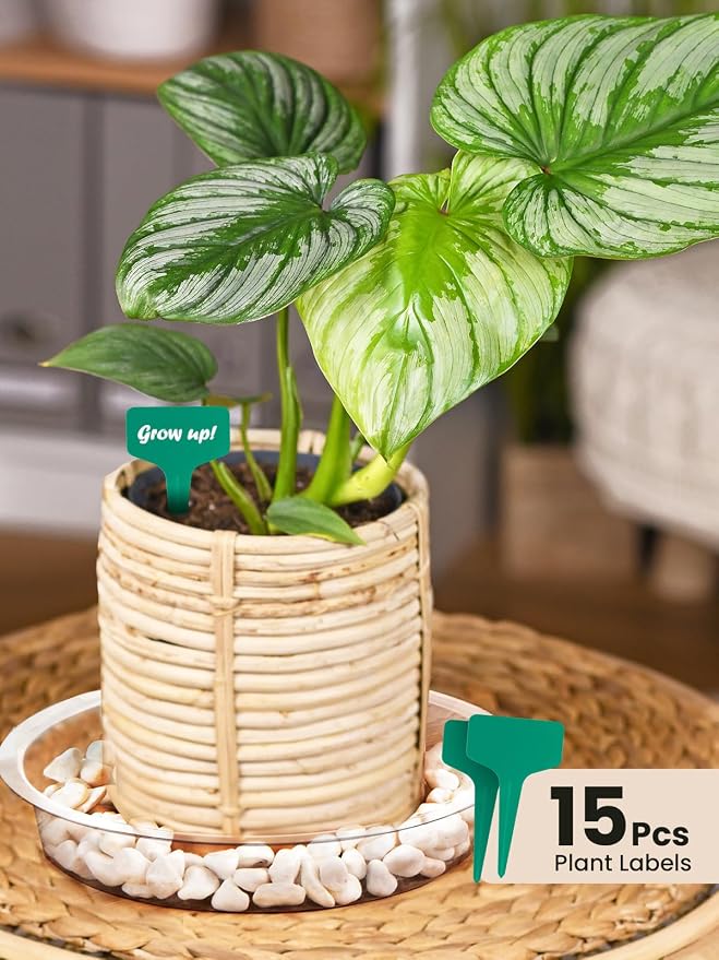 GROWNEER 24 Pack of 6, 8, 10, 12 Inches Clear Plant Saucers Flower Pot Trays, with 15 Pcs Plant Labels, Plastic Plant Drip Trays for Indoor Outdoor Plants Garden, Assorted 4 Sizes, 6pcs of Each Size