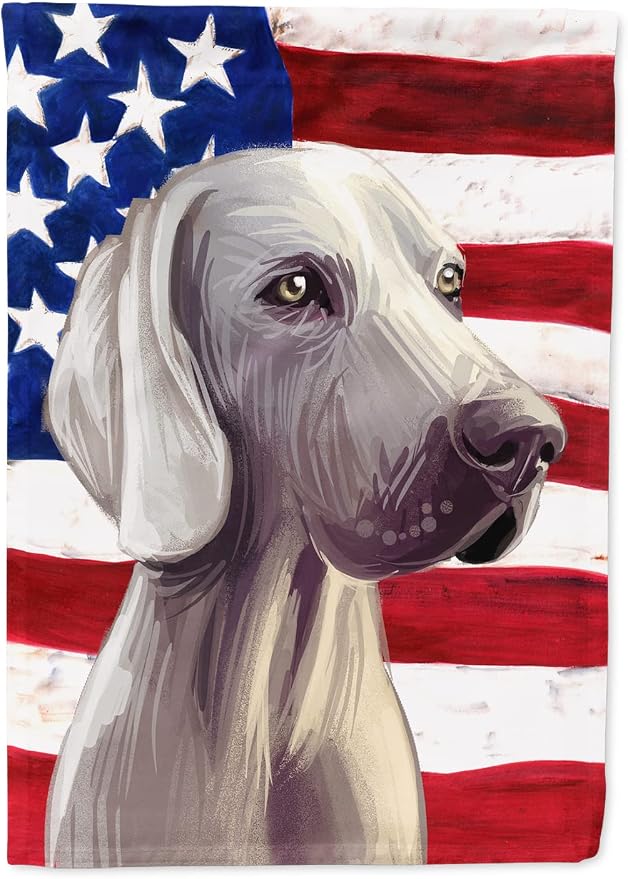 Caroline's Treasures CK6749CHF Weimaraner American Flag House Flag Large Porch Sleeve Pole Decorative Outside Yard Banner Artwork Wall Hanging, Polyester, House Size, Multicolor