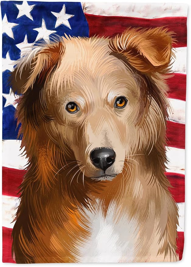 Caroline's Treasures CK6418CHF Basque Shepherd Dog American Flag House Flag Large Porch Sleeve Pole Decorative Outside Yard Banner Artwork Wall Hanging, Polyester, House Size, Multicolor