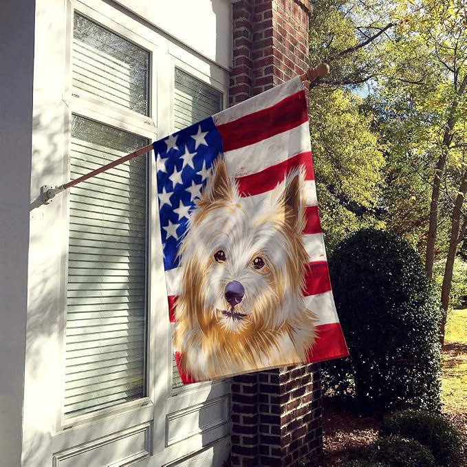 Caroline's Treasures CK6633CHF Norwich Terrier Dog American Flag House Flag Large Porch Sleeve Pole Decorative Outside Yard Banner Artwork Wall Hanging, Polyester, House Size, Multicolor