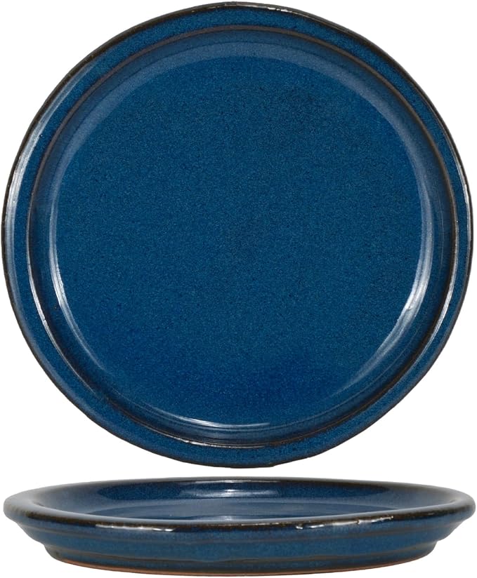 W&W Ceramic Plant Saucer - Plant Trays for Indoor Pots (Blue, 8 inches, 2 Packs)