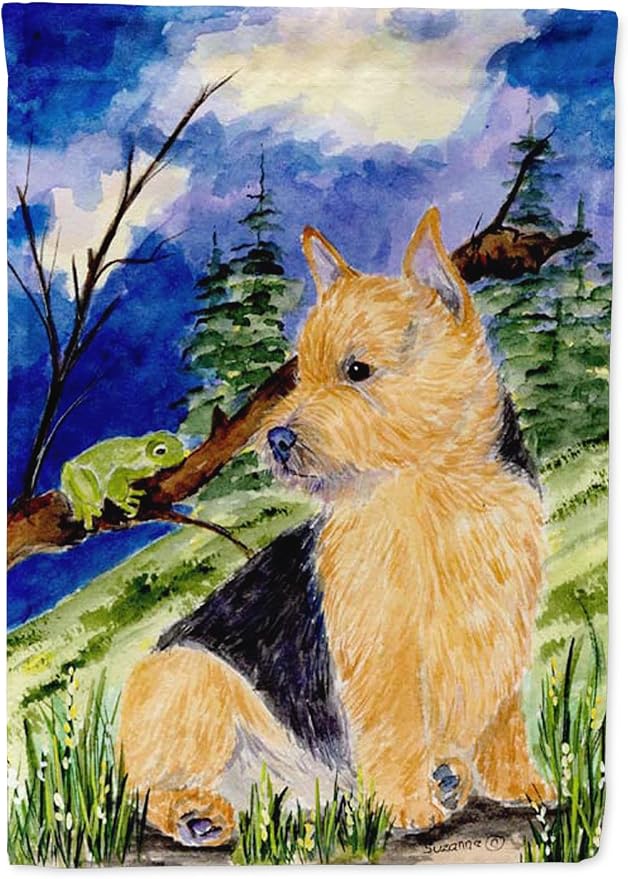 Caroline's Treasures SS8984GF Norwich Terrier Garden Flag Mailbox Flag Decorative Yard Flag Banner Outside Patio Artwork Yard Flower Beds, Garden Size, Multicolor