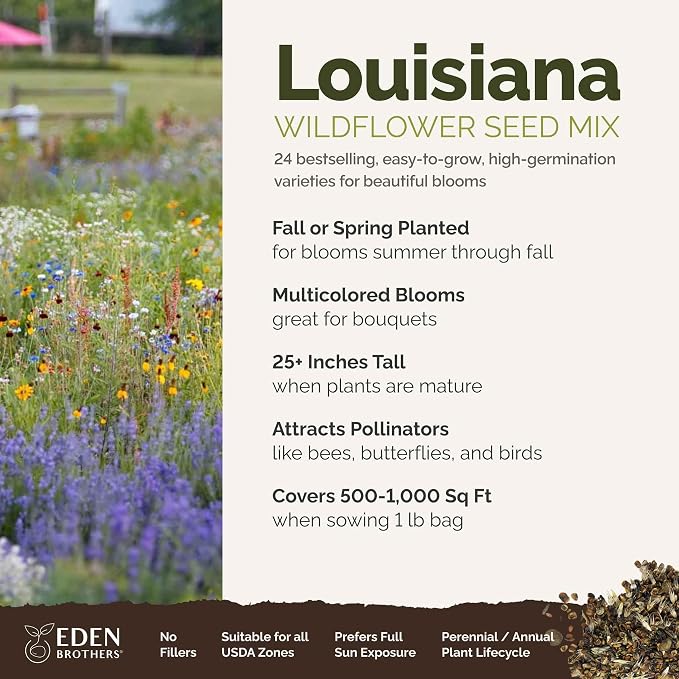 Eden Brothers Louisiana Wildflower Mixed Seeds for Planting, 1 lb, 480,000+ Seeds with Lupine, African Daisy | Attracts Pollinators, Plant in Spring or Fall, Zones