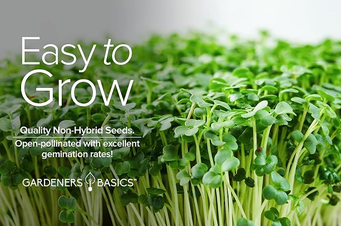 Gardeners Basics, Broccoli Seeds for Sprouting Kit and Microgreens Non-GMO, Heirloom Bulk 1 Pound Resealable Sprouts Bag
