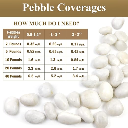 FANTIAN 5lbs White Pebbles for Indoor Plants, 0.8-1.2 Inch Smooth White River Rocks for Potted Plants, Decorative Polished Stones for Landscaping Vase Fish Tank and Outdoor Garden Pavers