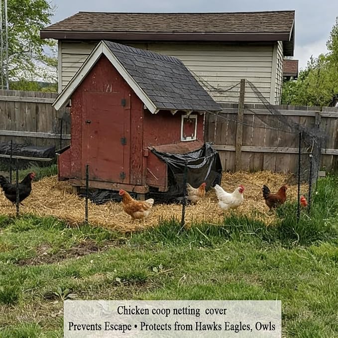 Bird Netting for Chicken Coop 25x50 FT, 1 in Mesh Chicken Run Netting Roof Cover Against Hawks, Eagles, Owls, Strong Woven Bird Netting for Garden, Fruit Tree, Plant, Vegetable Protection