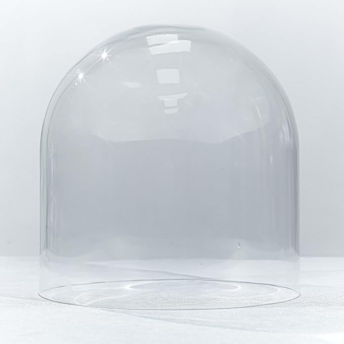 CYS EXCEL Glass Cloche Dome (H:10" D:9.75") | Multiple Sizes Decorative Showcase Display for Antique Collectibles | Bell Jar Terrarium & Dessert Cover
