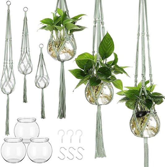 Colingmill 6 Pcs Plastic Plant Propagation with Boho Macrame Hanger Wall Plant Propagation Station Hanging Holder Include Hooks Kit for Indoor Home Garden Office Decor 3 Size (Sage Green)