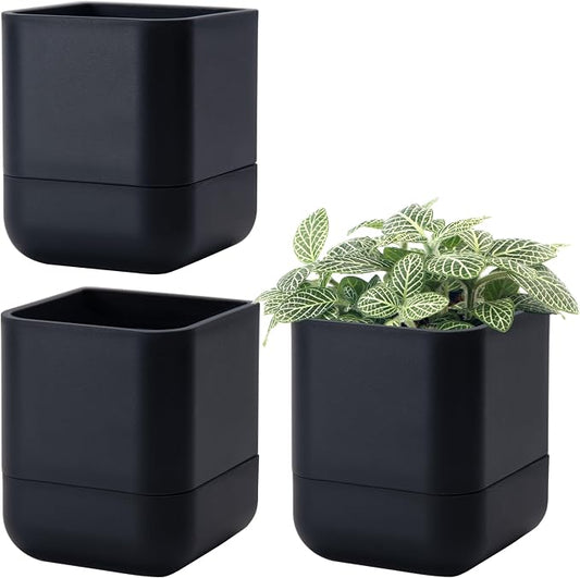 Phoenix Vine 4.5 Inch Wall Mounted Self-Watering Planter Pot for Indoor Houseplants and Herbs | Hanging Planter for Window Sills, Bathroom Walls, Home & Office Décor, Black, Set of 3, 01-B-E-3