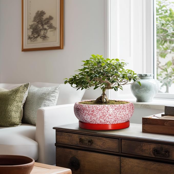 Bonsai Pots 10 Inch - Ceramic Succulent Planters for Indoor Plants Outdoor, Succulent Pots with Drainage Hole and Tray, Round Shallow Planter, Bonsai Planter, Home Decor, Gardening Gift, Red