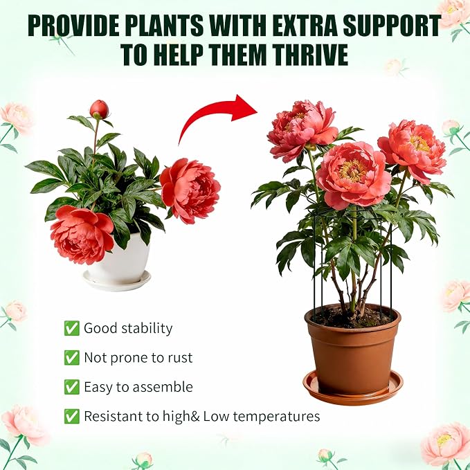 Peony Cages and Supports 4 Pack, 13" Dx24 H Grow Through Plant Supports, Heavy Duty Metal Plant Support Cage for Outdoor Flowers, Tomatoes, Hydrangeas, Cucumbers & Strawberries