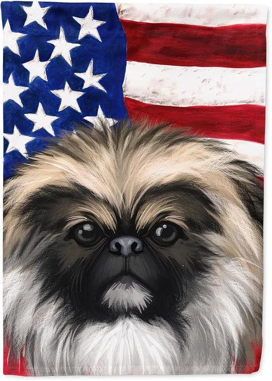 Caroline's Treasures CK6488CHF Chinese Imperial Dog American Flag House Flag Large Porch Sleeve Pole Decorative Outside Yard Banner Artwork Wall Hanging, Polyester, House Size, Multicolor