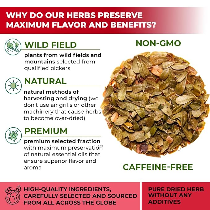 4 oz. Uva Ursi Leaf Bearberry Tea Herbal (Arctostaphylos Uva-Ursi) - 113g Uva-Ursi Herb Tea Arctostaphylos Uva-Ursi