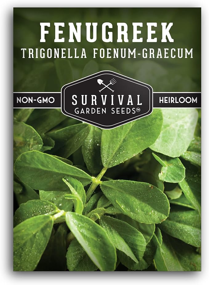 Fenugreek Seeds for Planting - Heirloom Methi Herb for Microgreens, Leaves, and Spice Seed Harvests - Non-GMO Garden Seed - Survival Garden Seeds (1 Pack)