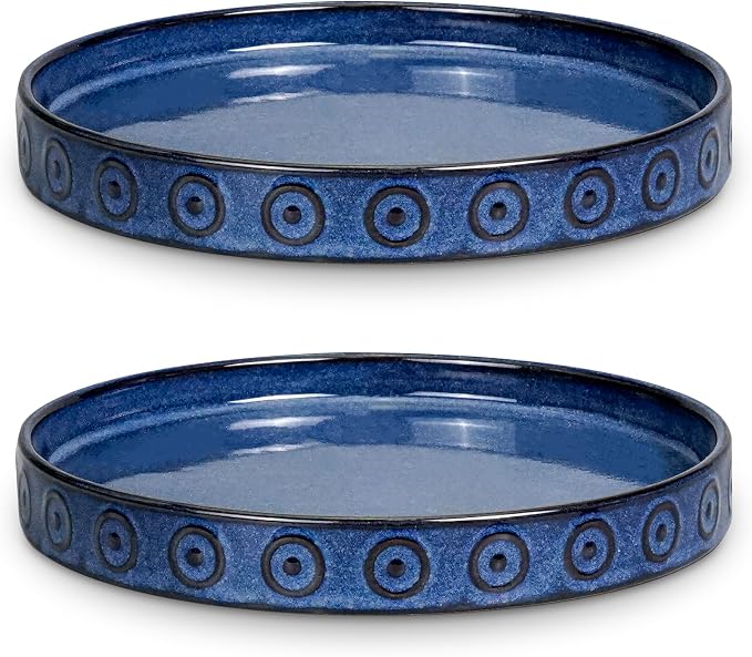 Eightpot 2 Pack 5.6 Inch Flower Pot Saucers, Plant Water Catcher Tray for Indoor Outdoors, Round Plants Plates to Catch Water, Boho Plants Dishes to Catch Water, Decorative Planter Tray, Blue