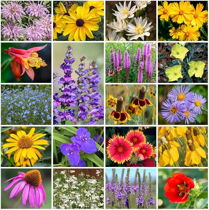 Grow Your Own Vibrant Perennial Wildflower Garden Seeds Mixture, Varieties for Pollinators and Spring Gardens - Native Perennial Mix, 10 lbs