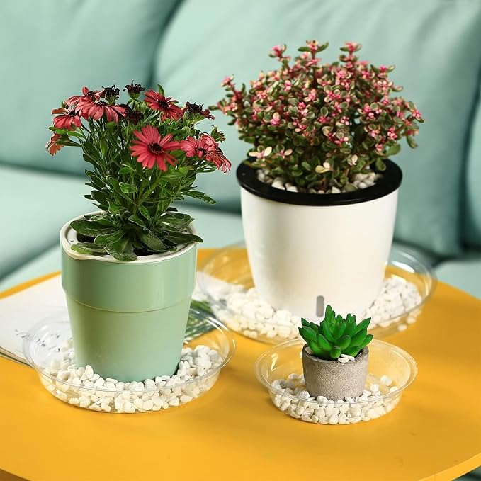 20 Packs 18" Extra-Large Clear Plant Saucers for Indoor Outdoor Use Heavy Duty Plastic Plant Trays for Planter Bulk Flower Pot Drip Trays to Catch Water, 4 to 20 Inch