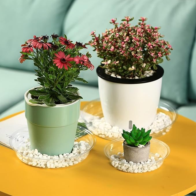 30 Packs 12 Inches Large Clear Plant Saucers for Indoor Outdoor Use Heavy Duty Plastic Plant Trays for Planter Bulk Flower Pot Drip Trays to Catch Water, 4 to 20 Inch