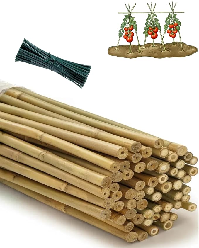 60 Pack Bamboo Stakes for Plant 4 Feet (48 inch) with Twist Ties Bamboo Sticks Plant Support Garden Stakes Poles for Tomatoes Cucumber Grapes Pole Beans Trees Potted Dahlia Flowers