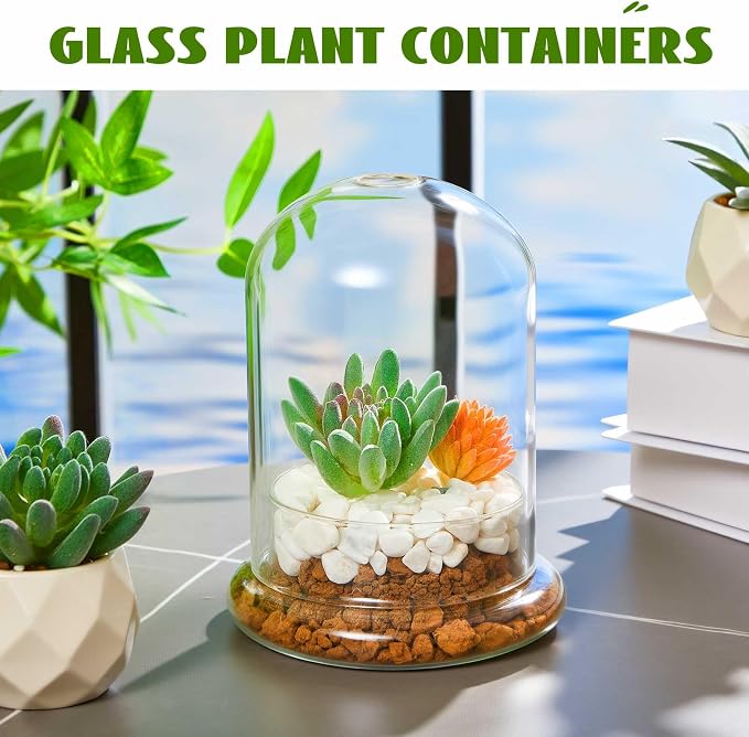 2 Pcs 4.7 x 6.3 Inch Glass Terrarium Dome Cloche with Air Hole & Glass Base, Clear Terrarium Containers Ventilated Plant Humidity Dome for Carnivorous Plants Orchids Tropical Cuttings, No Leakage