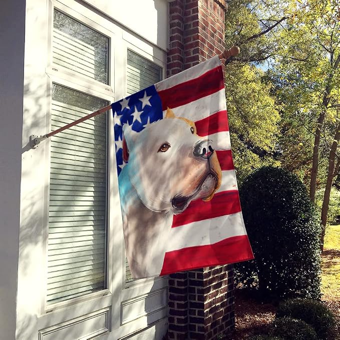 Caroline's Treasures CK6459CHF Brazilian Dogo American Flag House Flag Large Porch Sleeve Pole Decorative Outside Yard Banner Artwork Wall Hanging, Polyester, House Size, Multicolor