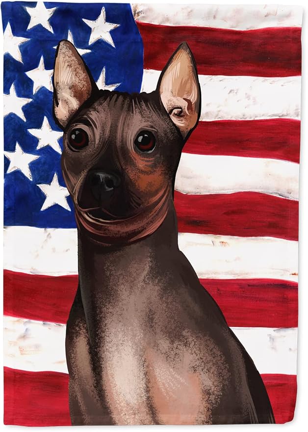 Caroline's Treasures CK6400GF American Hairless Terrier American Flag Garden Flag Mailbox Flag Decorative Yard Flag Banner Outside Patio Artwork Yard Flower Beds, Garden Size, Multicolor
