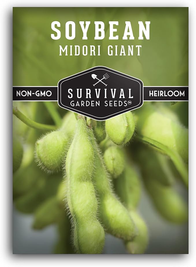 Midori Giant Edamame Seeds for Planting - Large Heirloom Soybean Variety with Tender Green Pods - Non-GMO Protein-Rich Vegetable - Survival Garden Seeds (2 Packs)