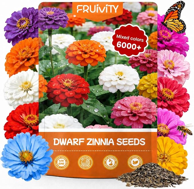 Dwarf Zinnia Seeds for 2026 Planting, 6000+ Flowers Seeds, 6 Vibrant Colors Mix & Large Bloom, Heirloom Wildflower Seeds for Pollinator Garden Outdoor Borders, Easy to Grow Annual Flowers