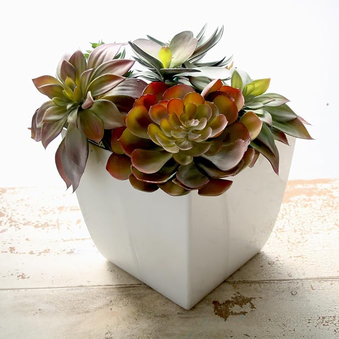 The HC Companies Aria Self Watering Square Plant Pot w/Drainage - Planters for Outdoor Plants & Indoor Plants - Lightweight & UV-Resistant Plastic Pots for Plants (8" Glossy Black, Pack of 2)