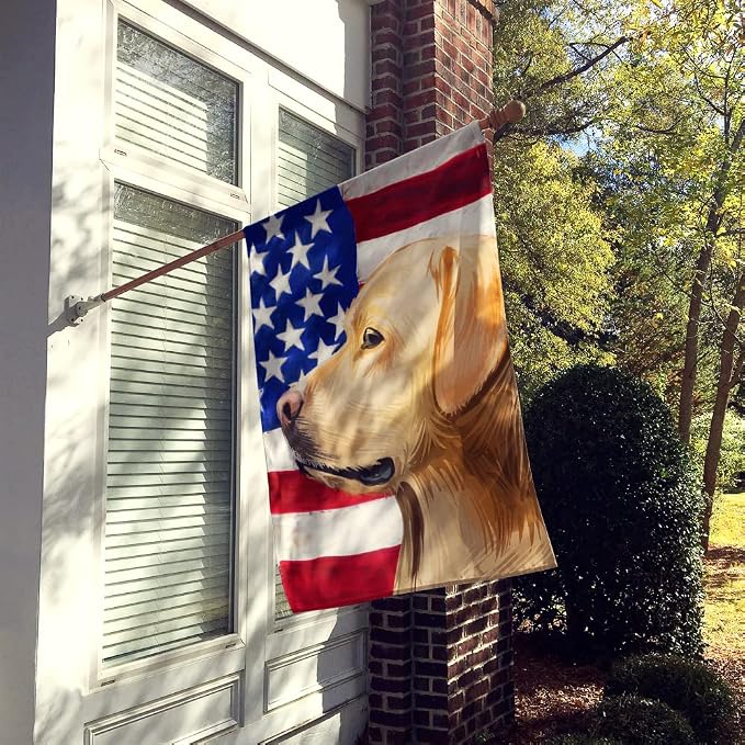 Caroline's Treasures CK6600CHF Labrador Retriever American Flag House Flag Large Porch Sleeve Pole Decorative Outside Yard Banner Artwork Wall Hanging, Polyester, House Size, Multicolor