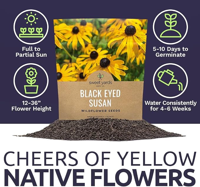 Black Eyed Susan Seeds – Extra Large Packet – Over 100,000 Open Pollinated Non-GMO Wildflower Seeds – Rudbeckia hirta
