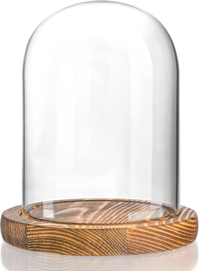 ZEERSHEE Cloche Glass Dome with Wooden Base, 5.5" x 3.9" Display Case | Clear Glass Cover, Stable Wood Base, Perfect for Flowers, Crafts, Candles & Collectibles