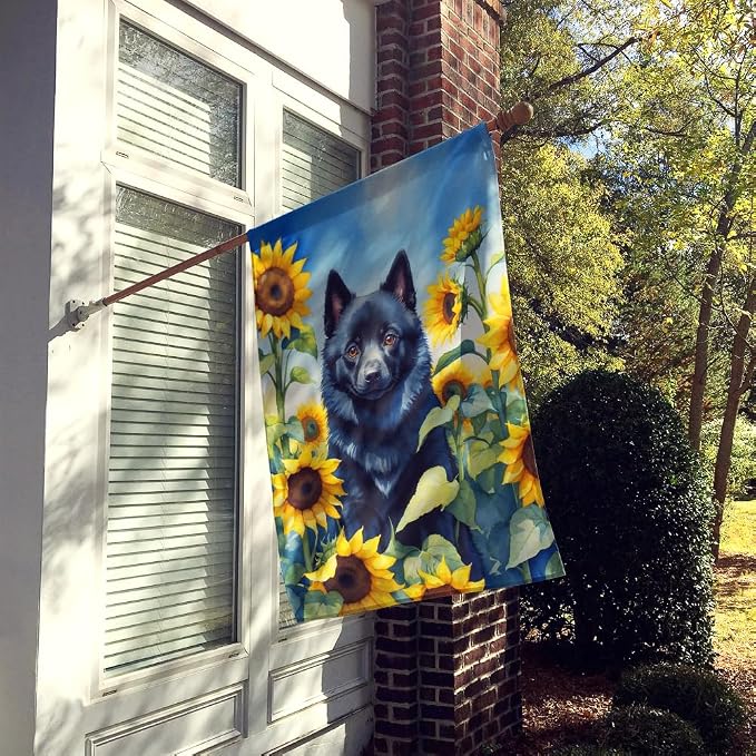 Caroline's Treasures DAC6155CHF Schipperke in Sunflowers House Flag Large Porch Sleeve Pole Decorative Outside Yard Banner Artwork Wall Hanging, Polyester, House Size, Multicolor