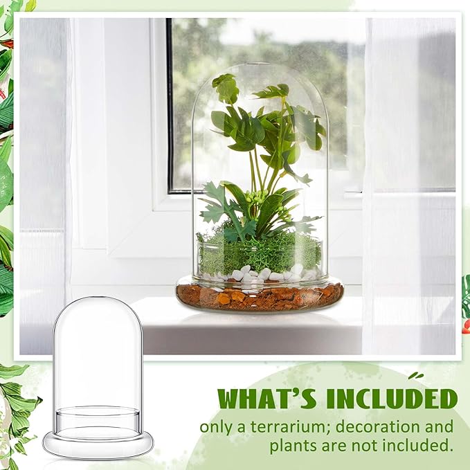 1 PC 5.9 x 7.9 Inch Glass Terrarium Dome Cloche with Air Hole & Glass Base, Clear Terrarium Containers Ventilated Plant Humidity Dome for Carnivorous Plants Orchids Tropical Cuttings, No Leakage
