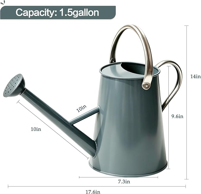Metal Watering Can with Stainless Steel Handle for Outdoor and Indoor Plants, Watering Can Decor, 1.5 Gallon (Gray)