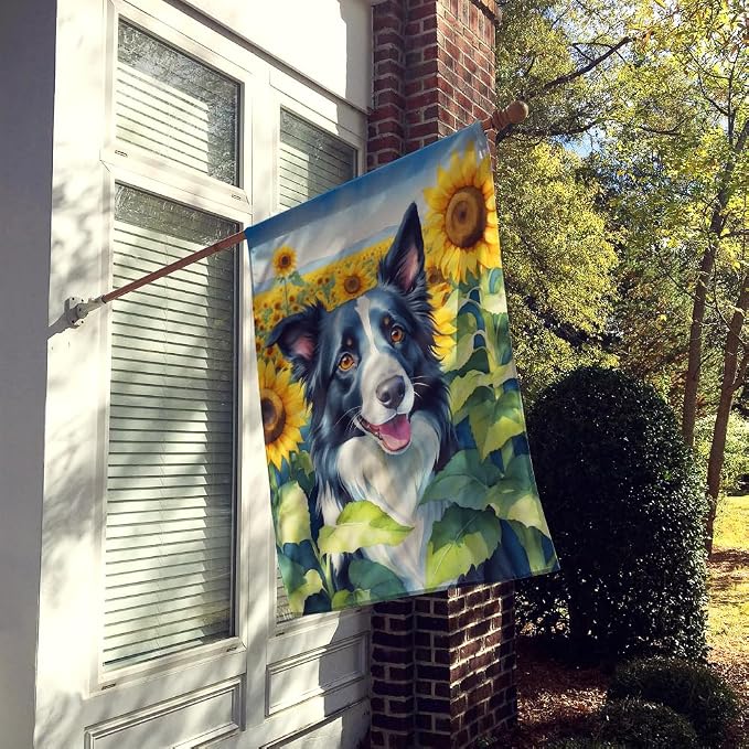 Caroline's Treasures DAC6031CHF Border Collie in Sunflowers House Flag Large Porch Sleeve Pole Decorative Outside Yard Banner Artwork Wall Hanging, Polyester, House Size, Multicolor