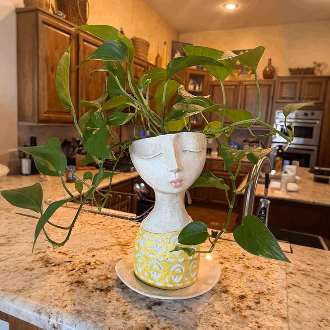 DiliComing Face Planter-Pots for Indoor Plants - 11 Inch Tall Planters for Flowers Head Planter with Drainage for Patio Yard Garden Succulent Pots Garden Decor 6 x 6 x 11 Inch