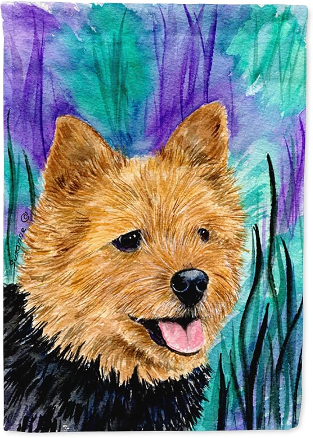Caroline's Treasures SS8431GF Norwich Terrier Garden Flag Mailbox Flag Decorative Yard Flag Banner Outside Patio Artwork Yard Flower Beds, Garden Size, Multicolor