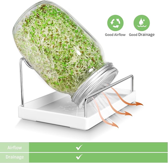 Seed Sprouting Jar Kit - 2 Wide Mouth Mason Jars with 316 Stainless Steel Sprouting Lids Covers, Drip Tray and Stand for Growing Broccoli Alfalfa Beans Sprout (Two Jars)
