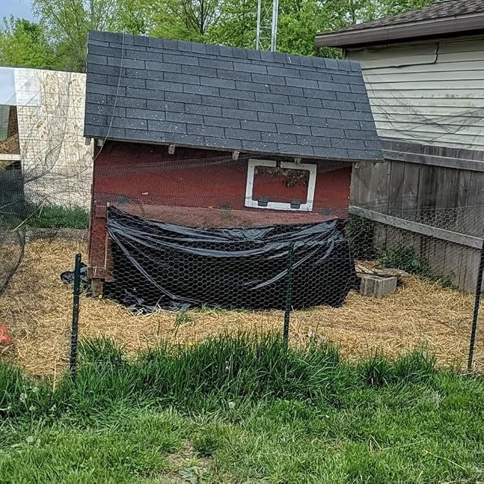 Junflying 50x100 FT Bird Netting for Chicken Coop,1" Chicken Run Roof Cover | Woven Poultry Netting Against Hawks, Owls, Eagles & Predators, Large Net for Fruit Tree, Blueberry, Vegetable Protection