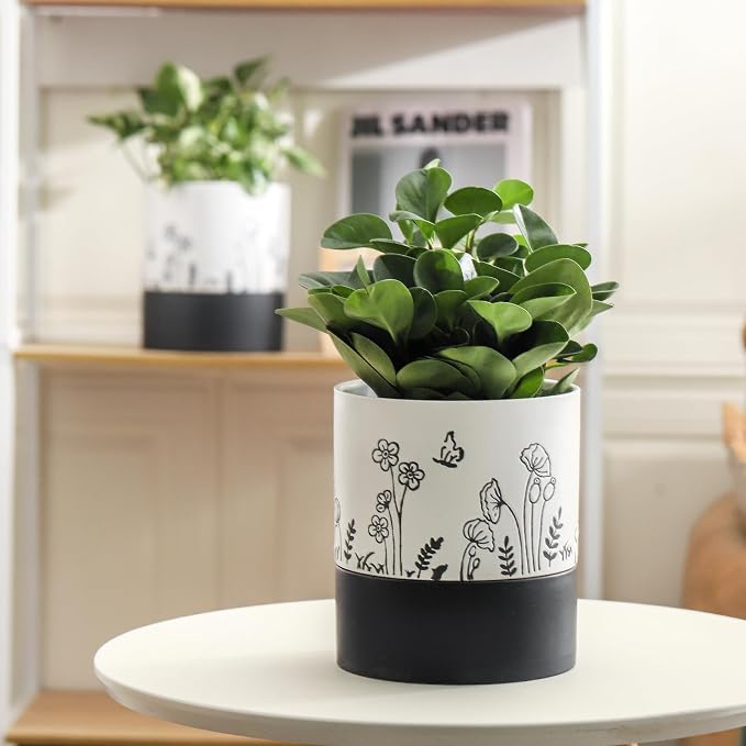 Nihow Self Watering Pots for Indoor Plants,6 Inch,White,Hand Painting | Ceramic Planter, Drainage Hole & Water Storage Plus, Cylinder Round Flower Pot, For Succulent/Herbs/Violets