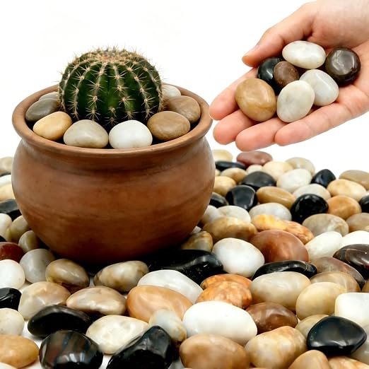 1-2 Inch Mixed Color River Rocks, 12LB Polished Natural Decorative Pebbles for Indoor Plants, Planters, Vase Fillers, Fish Tank Rocks, Aquarium Decor, Garden Landscaping & Outdoor DIY