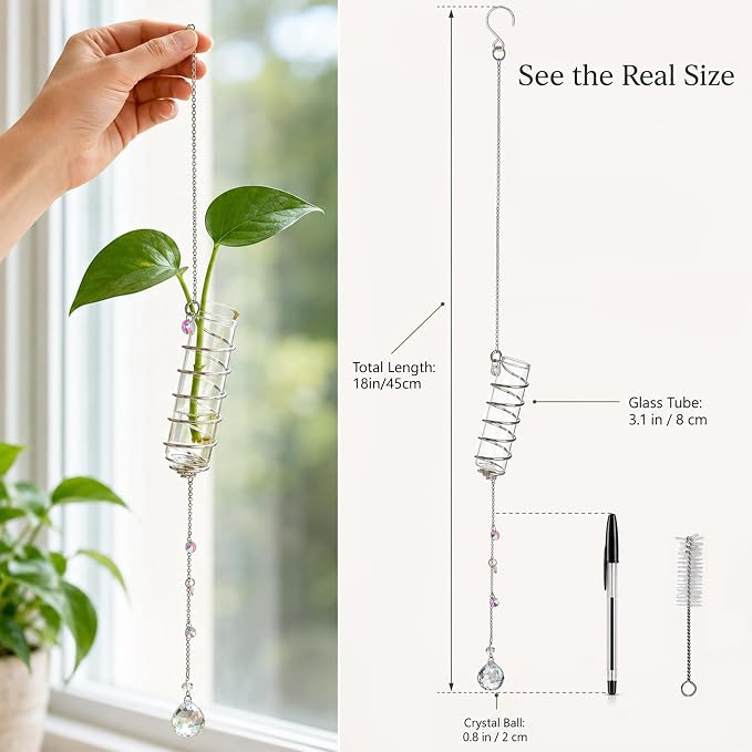 6Pcs Hanging Plant Propagation Station with Crystal Ball Prisms Suncatcher | Window Hanging Propagation Station and Cleaning Brush, Glass Plant Suncatcher for Indoor Wall Gifts for Plants Lovers(Silver)